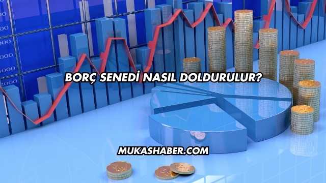 Borç Senedi Nasıl Doldurulur?