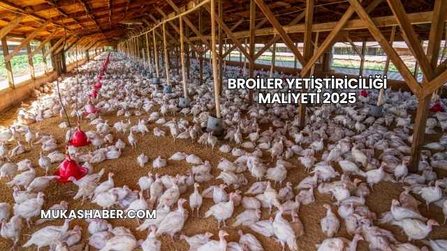 Broiler Yetiştiriciliği Maliyeti 2025
