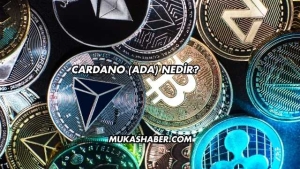 Cardano (ADA) Nedir?
