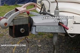 Çeki Demiri Maliyeti 2025