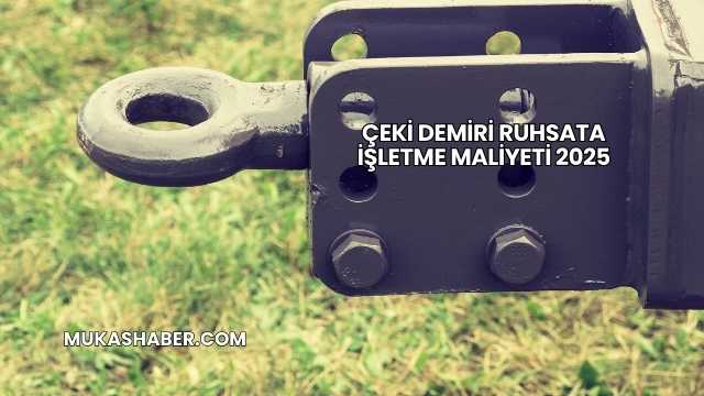 Çeki Demiri Ruhsata İşletme Maliyeti 2025