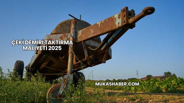 Çeki Demiri Taktırma Maliyeti 2025