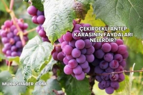 Çekirdekli Antep Karasının Faydaları Nelerdir?