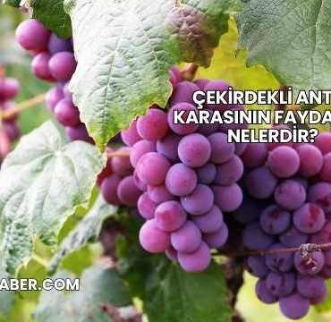 Çekirdekli Antep Karasının Faydaları Nelerdir?