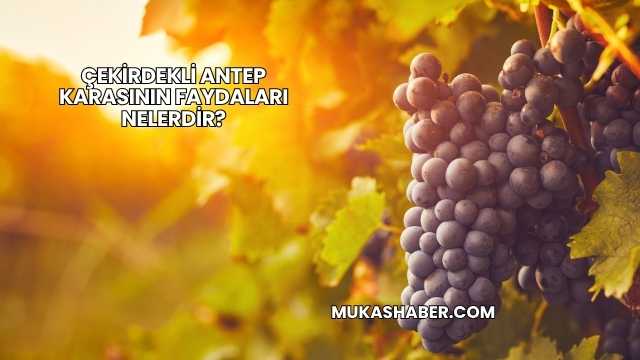 Çekirdekli Antep Karasının Faydaları Nelerdir?