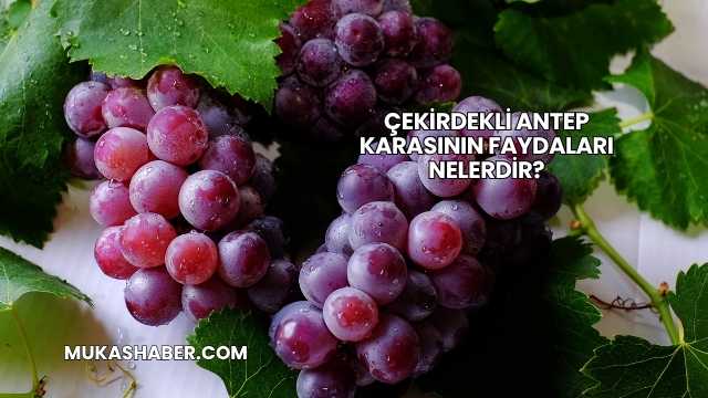 Çekirdekli Antep Karasının Faydaları Nelerdir?