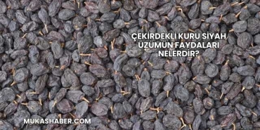 Çekirdekli Kuru Siyah Üzümün Faydaları Nelerdir?