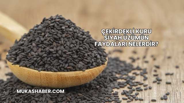 Çekirdekli Kuru Siyah Üzümün Faydaları Nelerdir?