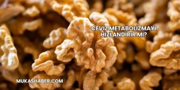 Ceviz Metabolizmayı Hızlandırır mı?