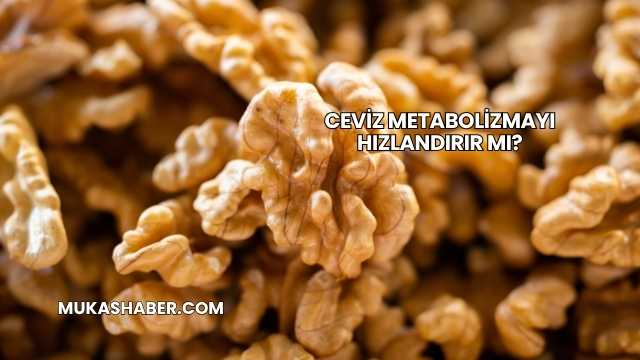 Ceviz Metabolizmayı Hızlandırır mı?