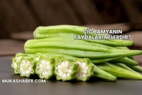 Çiğ Bamyanın Faydaları Nelerdir?