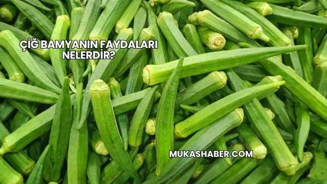 Çiğ Bamyanın Faydaları Nelerdir?