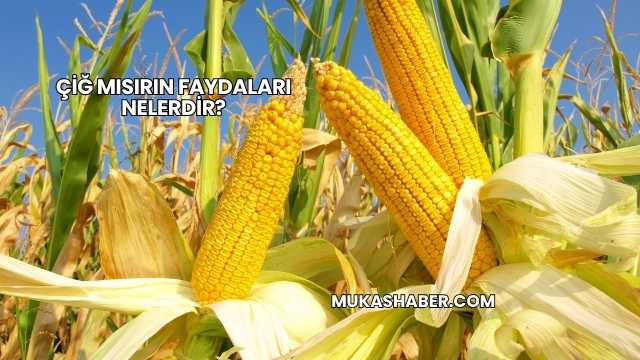 Çiğ Mısırın Faydaları Nelerdir?
