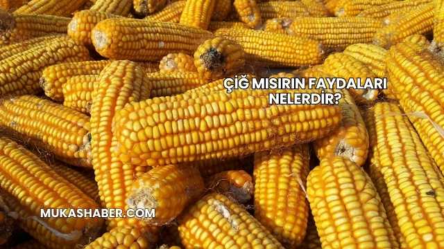 Çiğ Mısırın Faydaları Nelerdir?