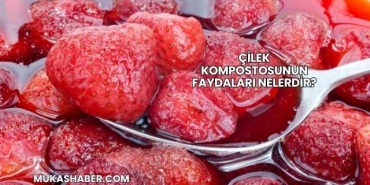 Çilek Kompostosunun Faydaları Nelerdir?