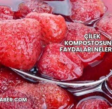 Çilek Kompostosunun Faydaları Nelerdir?