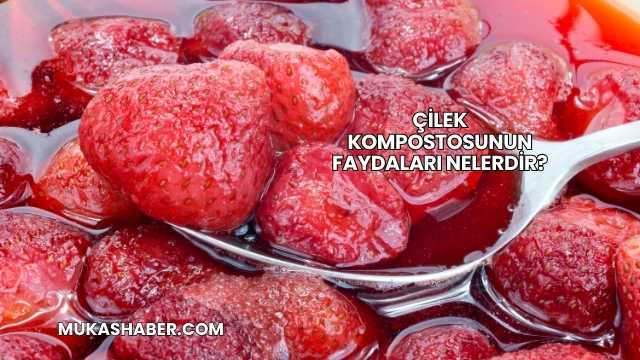 Çilek Kompostosunun Faydaları Nelerdir?