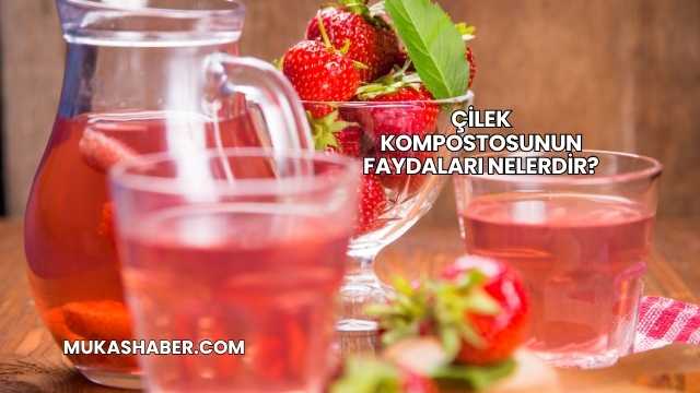 Çilek Kompostosunun Faydaları Nelerdir?