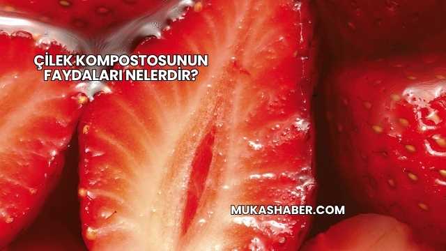 Çilek Kompostosunun Faydaları Nelerdir?
