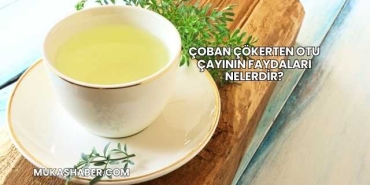 Çoban Çökerten Otu Çayının Faydaları Nelerdir?