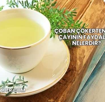 Çoban Çökerten Otu Çayının Faydaları Nelerdir?