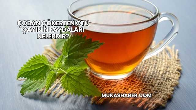 Çoban Çökerten Otu Çayının Faydaları Nelerdir?