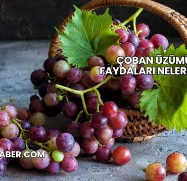 Çoban Üzümü Faydaları Nelerdir?