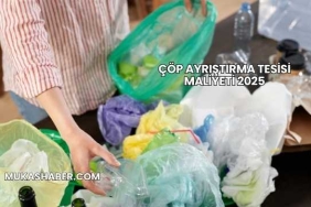 Çöp Ayrıştırma Tesisi Maliyeti 2025