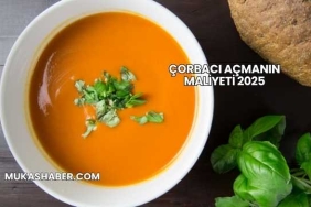 Çorbacı Açmanın Maliyeti 2025