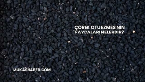 Çörek Otu Ezmesinin Faydaları Nelerdir?