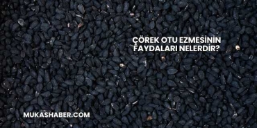 Çörek Otu Ezmesinin Faydaları Nelerdir?