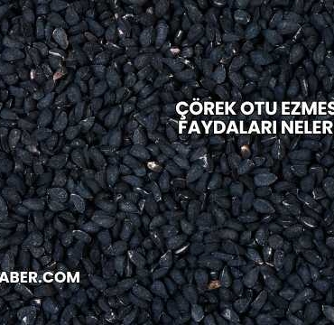 Çörek Otu Ezmesinin Faydaları Nelerdir?