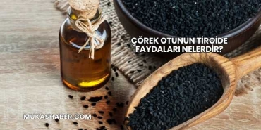 Çörek Otunun Tiroide Faydaları Nelerdir?