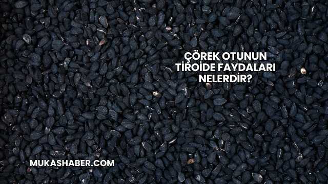 Çörek Otunun Tiroide Faydaları Nelerdir?