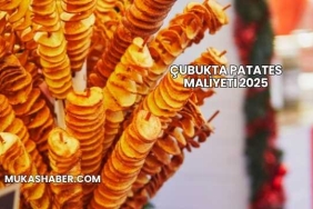 Çubukta Patates Maliyeti 2025