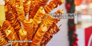 Çubukta Patates Maliyeti 2025
