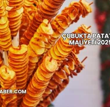 Çubukta Patates Maliyeti 2025