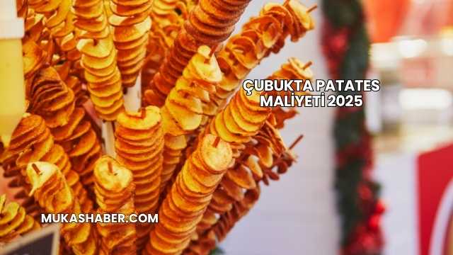 Çubukta Patates Maliyeti 2025