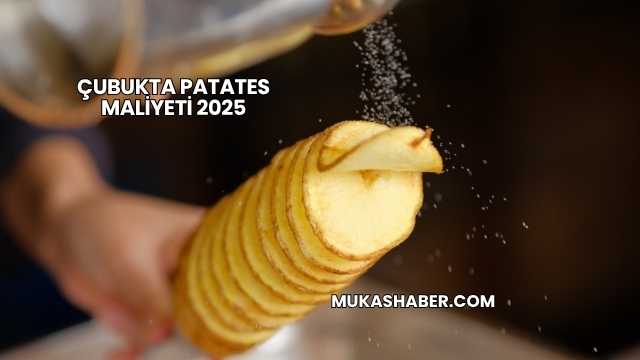 Çubukta Patates Maliyeti 2025