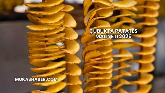 Çubukta Patates Maliyeti 2025