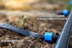Damlama Sulama Tesisatı Maliyeti 2025