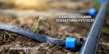 Damlama Sulama Tesisatı Maliyeti 2025