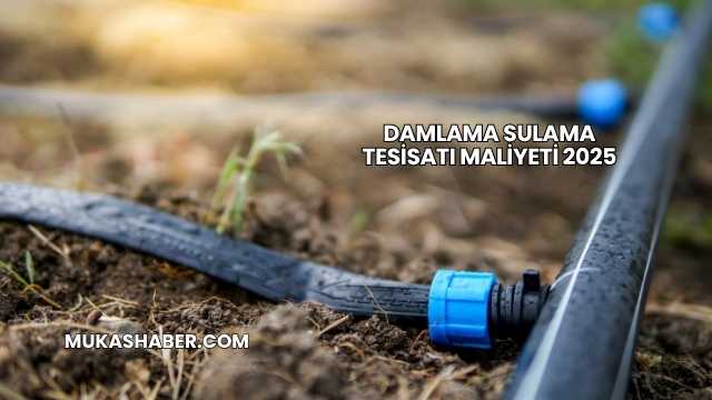 Damlama Sulama Tesisatı Maliyeti 2025