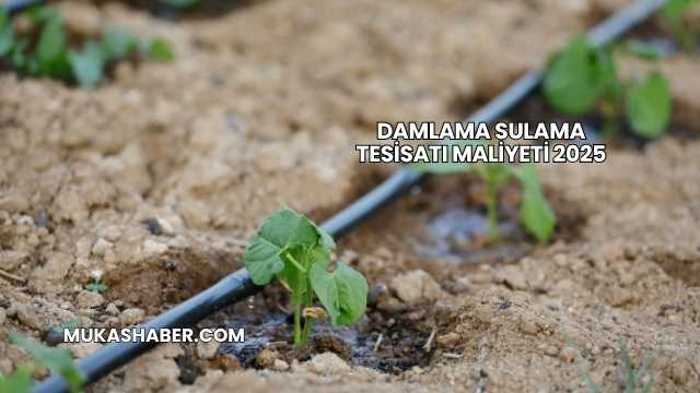 Damlama Sulama Tesisatı Maliyeti 2025