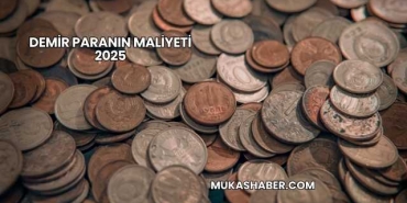 Demir Paranın Maliyeti 2025
