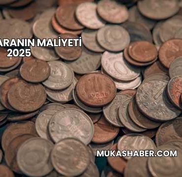 Demir Paranın Maliyeti 2025