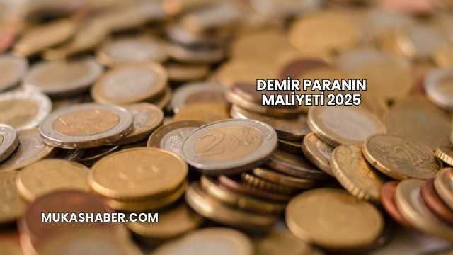 Demir Paranın Maliyeti 2025