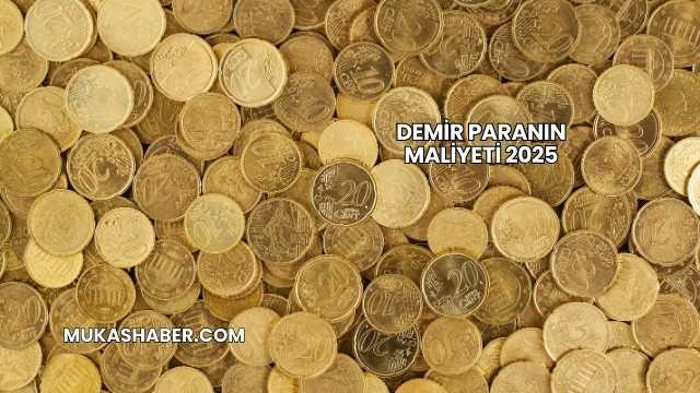 Demir Paranın Maliyeti 2025