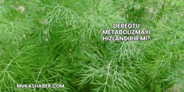 Dereotu Metabolizmayı Hızlandırır mı?