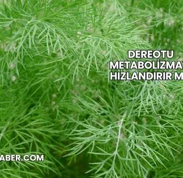 Dereotu Metabolizmayı Hızlandırır mı?